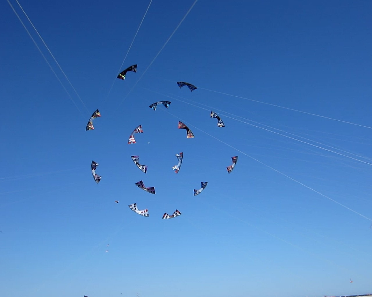 A variety of kites