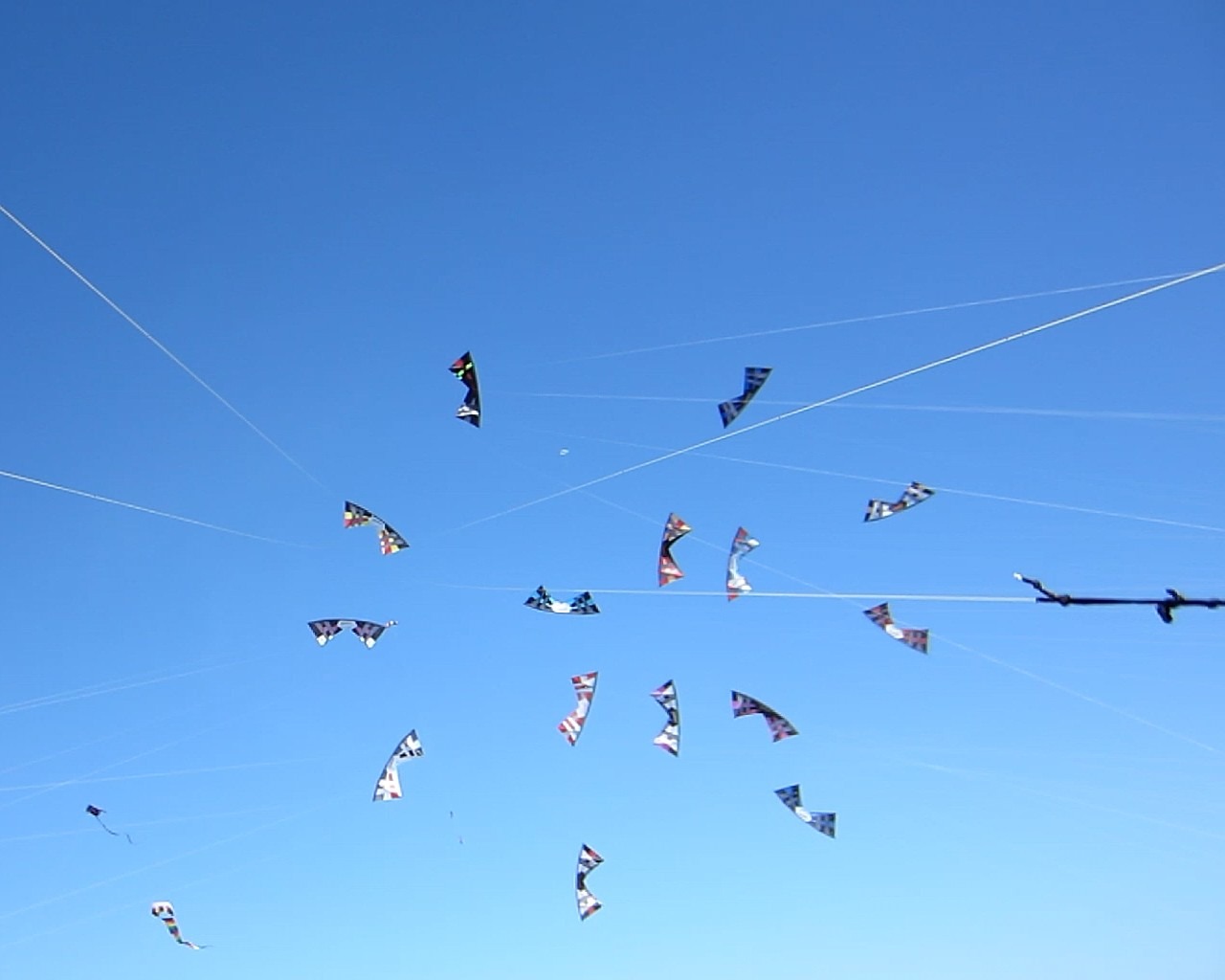 Flying kites in the sky