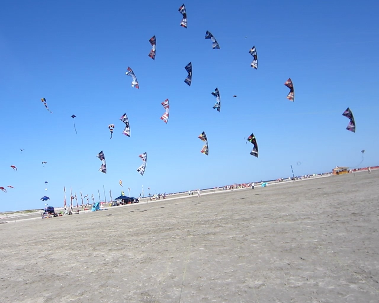 A kite event